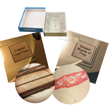 animal-set-glass-prepared-slides